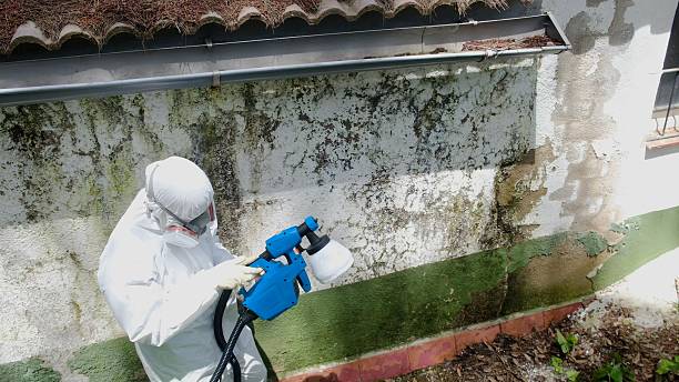 Top rated local Commercial Mold Remediation specialists in Norwood Young America, MN